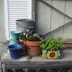 Finding a color scheme, Bauer pots and Talavera