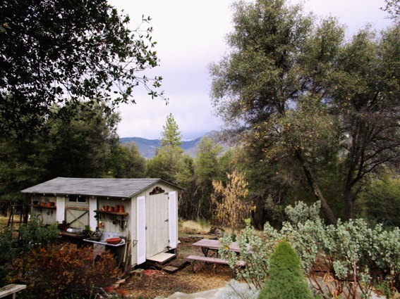 Shed in December